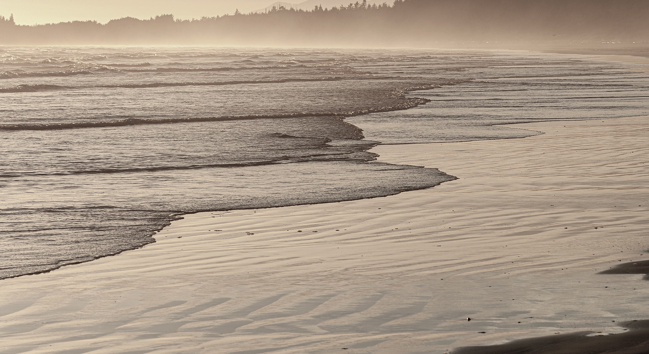 Serene beach landscape at sunset with gentle waves.